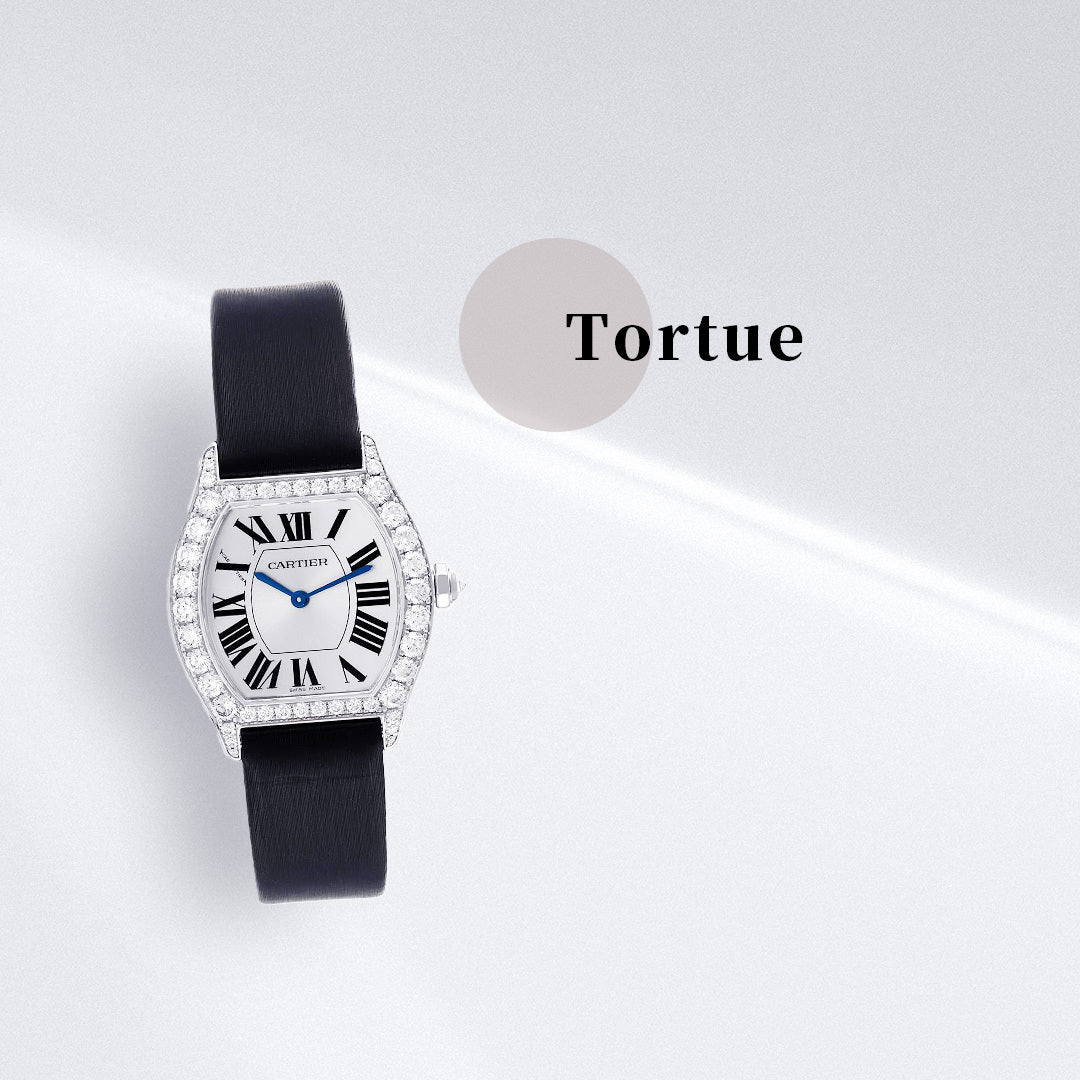 ベル・モントル トーチュ/Tortue